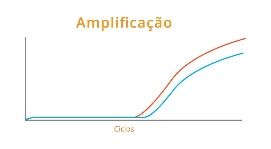 Amplificação RT-qPCR