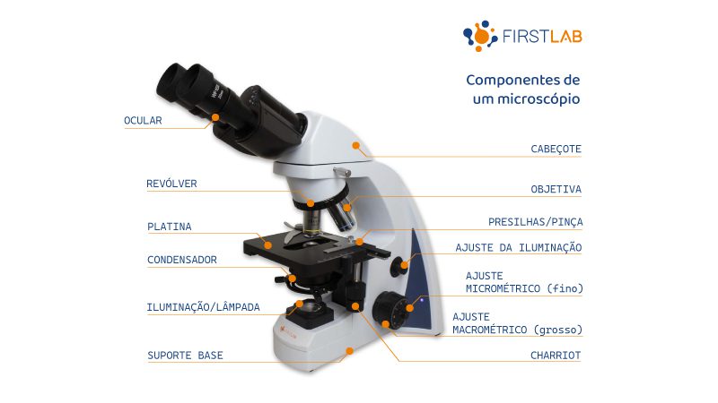 partes do microscópio